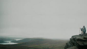GIF by tomcjbrown