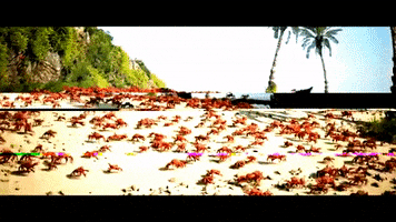 Rave GIF
