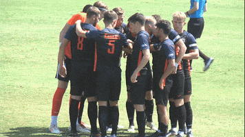 Cnms19 GIF by Carson-Newman Athletics