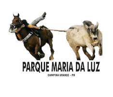 Parque maria da luz Sticker