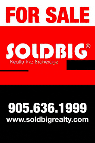 info_soldbig real estate for sale house for sale real estate brokerage GIF