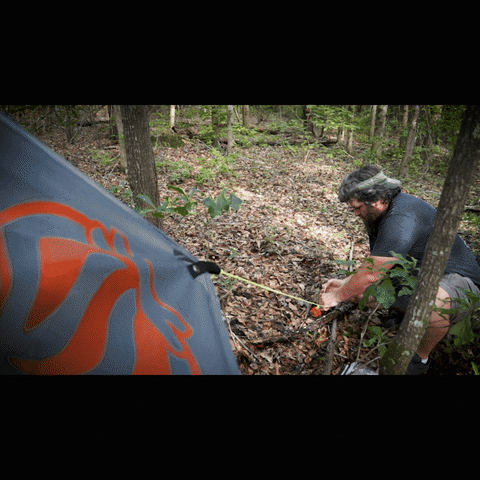 Tarp GIF