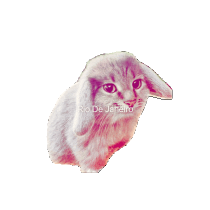 Cat 3D Sticker