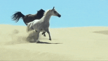 Selaria Vertentes GIF