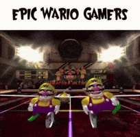 Epic Wario Gamers GIF