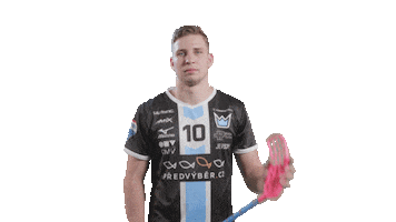 Florbal Mladá Boleslav Sticker