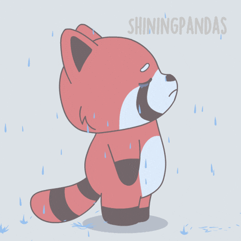 Sad Red Panda GIF