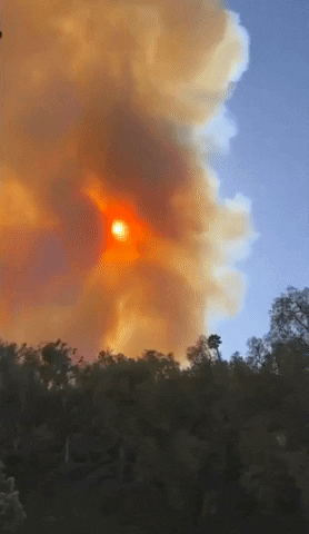 United States Fire GIF by Storyful