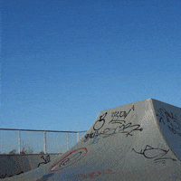 skateboarding wtf GIF by Trolli