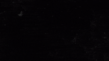 djripm GIF