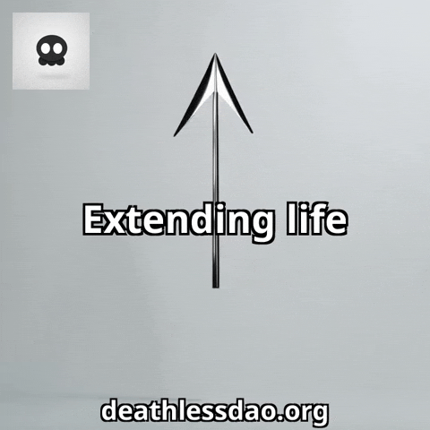 Sarcastic Life GIF by deathlessdao