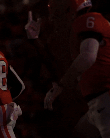 College Football GIF by Clemson Tigers