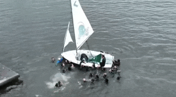 Champions Sailing GIF by GreenWave
