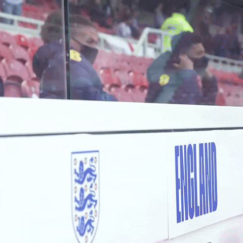 Staring Three Lions GIF by England