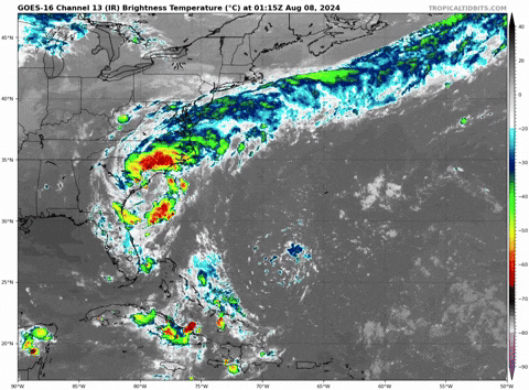 giphy.gif?cid=9b38fe91wl9ixblc41ptpkemp0