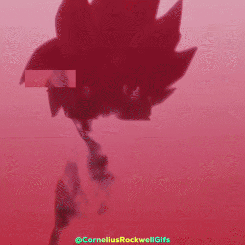 Corneliusrockwellgifs GIF