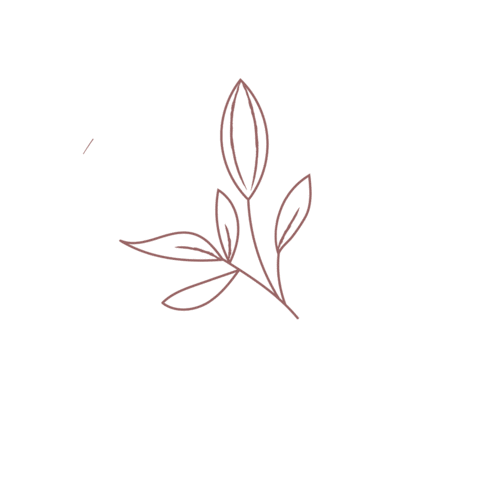 Cuppingstudio Sticker by zenspacepdx