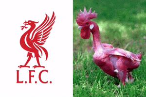 Youll Never Walk Alone GIF