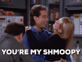 jstory seinfeld pda shmoopy GIF