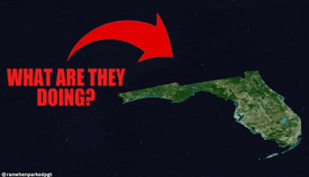 Florida What Are They Doing GIF