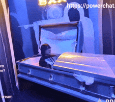 Streamer Resting GIF