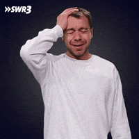 Laugh Lol GIF by SWR3