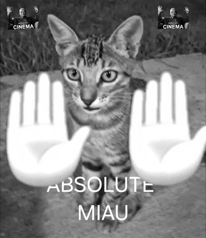 Cinema GIF
