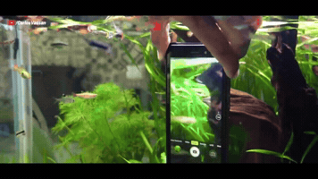 Ulefone GIF