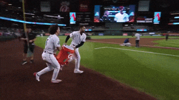 Celebrate Arizona Diamondbacks GIF by MLB