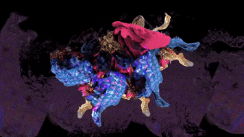 Animated GIF