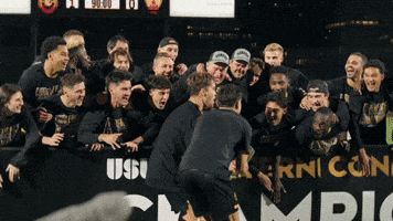 Usl Championship Soccer GIF by Pittsburgh Riverhounds SC