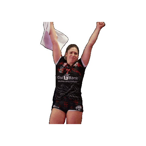 CDA Volley Talmassons FVG Sticker