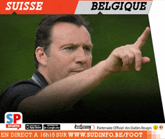 sudinfo wilmots GIF