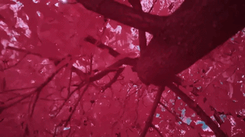 GIF by UMusicIndia