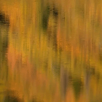 Fall Colors Reflecting on Water's Surface