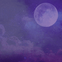 Full Moon Night GIF by Gerbert!
