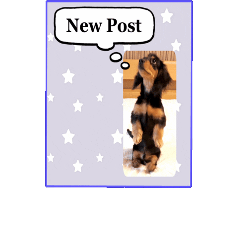 Animated Sticker