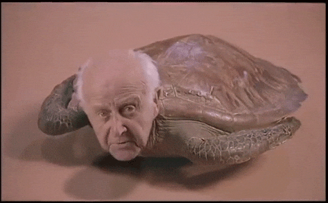 giphy.gif?cid=ecf05e47klo71iqipje61a4191