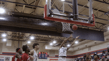 Top Class Basketball GIF by Amazon Freevee