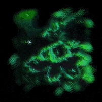 Loop GIF