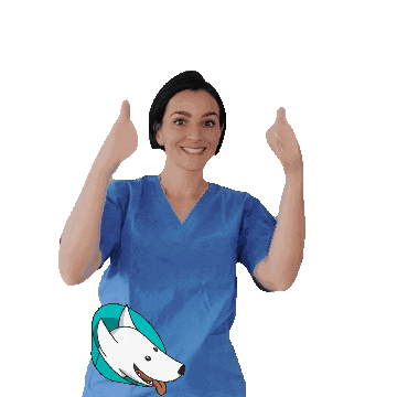Thumbs Up Sticker by amicaveterinaria