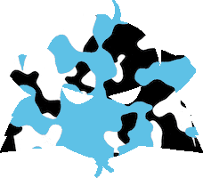 CrossFitShokunin Sticker