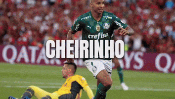 Flamengo Cheirinho GIF