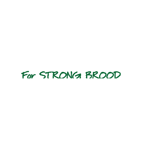 Bee Beestrong Sticker by BeeVital
