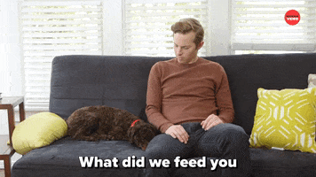Dogs Farting GIF by BuzzFeed