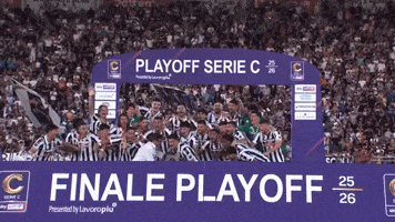 Serie B Playoff GIF