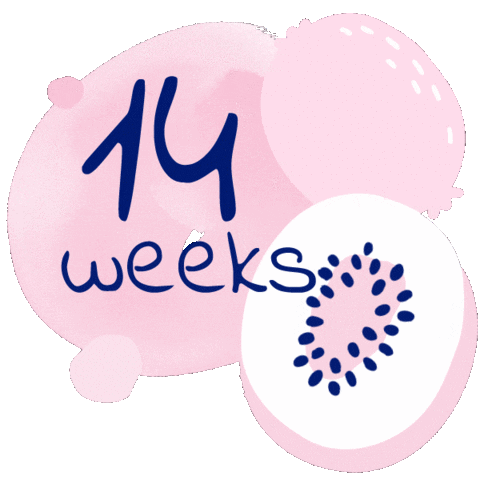 Pregnancy Kiwi Sticker by sanosancosmetic