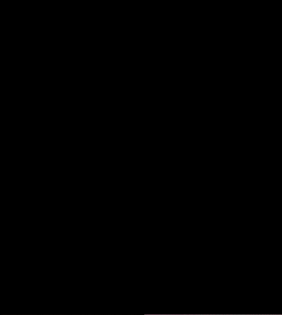 Cat Flan GIF
