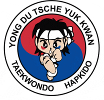Taekwondo Hapkido GIF by YongDu