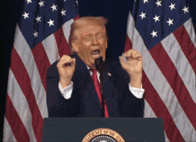 Donald Trump GIF
